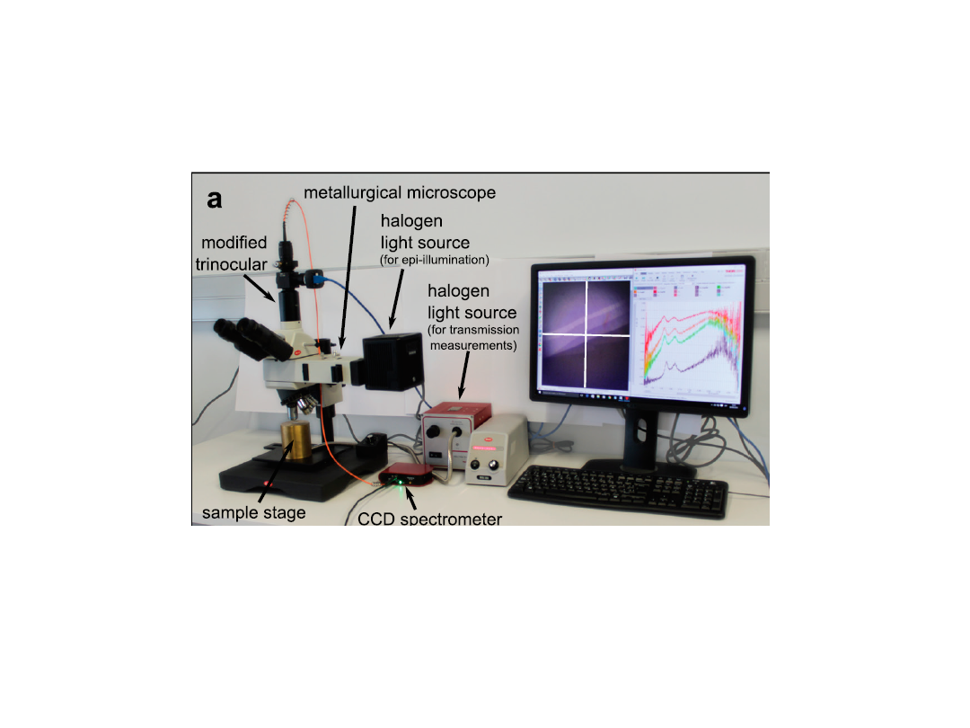 Micro-reflectance and transmittance spectroscopy setup