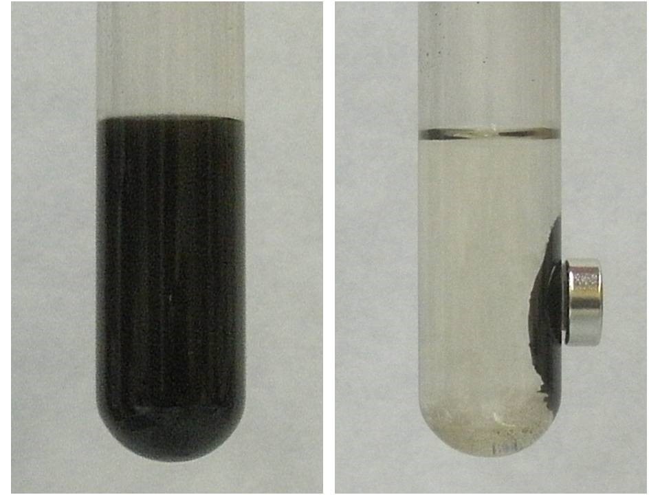 Colloidal dispersion of magnetic nanoparticles without (left) and with (right) application of a magnet.