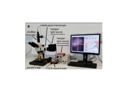 Micro-reflectance and transmittance spectroscopy setup