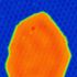 Graphene/Ir(111) intercalated with Pb measured at 1K, 60nm x 60nm