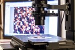 IMDEA Nanociencia joins efforts to establish a databank of atomic force microscopy data: bioAFM