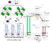 MOF material offers optical sensing of NO2 pollutant for air quality measurements